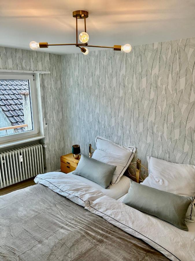 Relaxstay - Balkon - Smart-Tv - Wifi Dielheim Luaran gambar